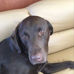 Profile Picture of Zachary Johnson (@zacharyjohnson059) on Instagram