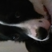 Profile Picture of K Bates (@kbates8896) on Youtube