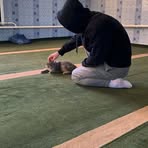 Profile Picture of Daryl Dixon (@Daryl-Dixon) on Facebook