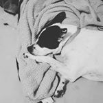 Profile Picture of Jason (@jason_kupfer) on Instagram