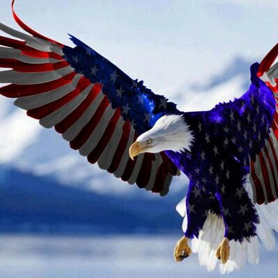 Profile Picture of Lisa Wicker (@lisawicker68) on Twitter