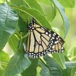 Profile Picture of Brian Crookes (@crookes13) on Pinterest