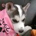 Profile Picture of Joanne Potts (@joanne.potts.52493) on Facebook