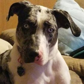 Profile Picture of Mandee Johnson (@thenurse) on Pinterest