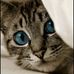 Profile Picture of Adam Widmer (@Adam-Widmer) on Facebook
