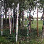 Profile Picture of Viola Schneider-Osenbrüg (@schneiderosen) on Instagram