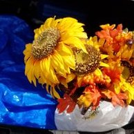 Profile Picture of Jose Jalomo (@JoseJalomo3) on Twitter