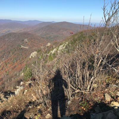 Profile Picture of Laura Sharp (@lauraleeinDC) on Twitter