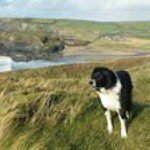 Profile Picture of Barking Mad Gary McLintock (@barkingmclintock) on Instagram