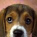 Profile Picture of Kevin Emlet (@kevin.emlet.71) on Facebook