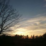 Profile Picture of Kyle Lowden (@run_for_red) on Instagram