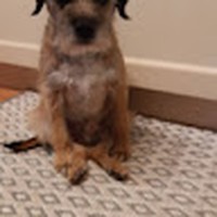 Profile Picture of David Olley (@david-olley-8) on Quora