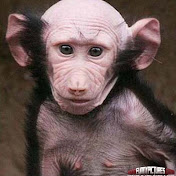 Profile Picture of Leighton Long Ears (@leightonlongears7475) on Youtube