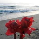 Profile Picture of Geoff Snow (@ragtime_papa_geoff) on Instagram