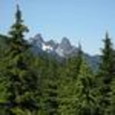 Profile Picture of Stephanie Thatcher (@TalkingComms) on Twitter