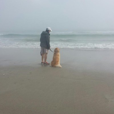 Profile Picture of Dr. Jack H. Albert Jr. - President Emeritus SJNLA (@JackHAlbertJr1) on Twitter