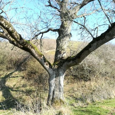 Profile Picture of Steve Trask (@SteveTrask1) on Twitter