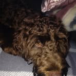 Profile Picture of Neil McCormack (@neil.mccormack.984) on Facebook