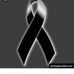 Profile Picture of Ivan Jácome (@Ivan-Jácome) on Facebook