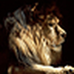 Profile Picture of Iván N. (@iván n.) on Flickr