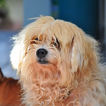 Profile Picture of Josh Kevin Polan (@joshkevinpolan) on Flickr