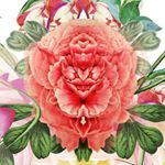 Profile Picture of Bożka Rydlewska (@bozka.rydlewska) on Instagram