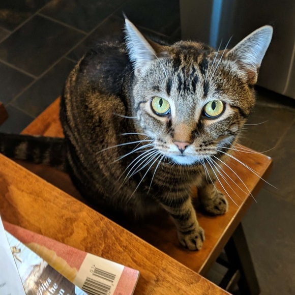 Profile Picture of Leila Moore (@leilamoore2002) on Poshmark