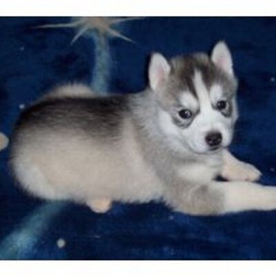 Addison Anderson - Twitter Profile Picture of Addison Anderson (@addisonanderso6) on Twitter