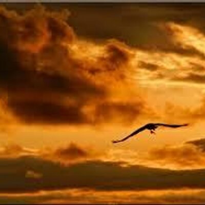 Profile Picture of Jay Autrey (@jayautrey1) on Twitter