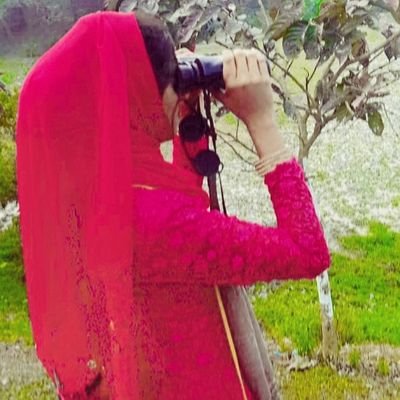Profile Picture of Nargis Hussain (@NargisH75536262) on Twitter