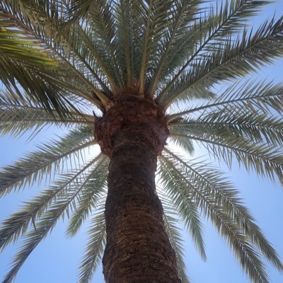 Profile Picture of Steve Mould (@mouldsmould) on Twitter