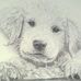 Profile Picture of Michael Lem (@michael.lem.73) on Facebook