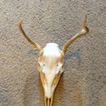 Profile Picture of james_arndtj (@james_arndtj) on Instagram