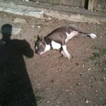 Profile Picture of Doug Eddins (@itsblue02) on Instagram