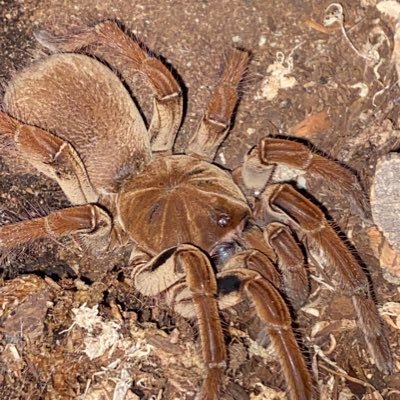 Profile Picture of James Stebbins (@warmart_16) on Twitter