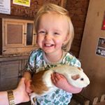 Profile Picture of Dawn Ferrow (@dawnferrow) on Instagram