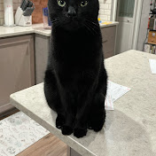 Profile Picture of Dave Childers (@davechilders1158) on Youtube