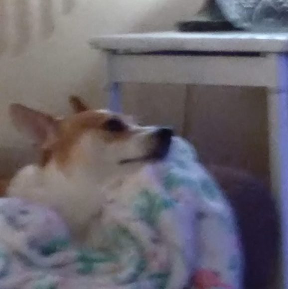 Profile Picture of Sandy Hottovy (@sandyhottovy) on Poshmark