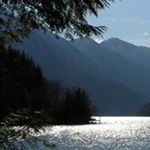 Profile Picture of Daniel Gervais (@gervais8009) on Instagram