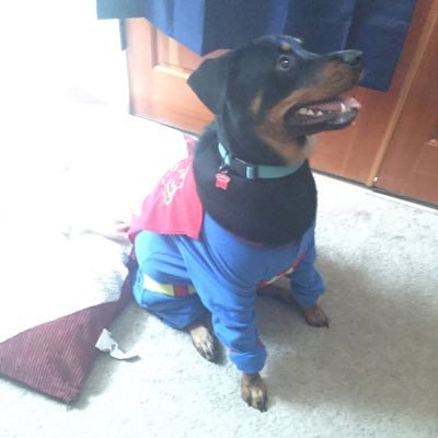 Profile Picture of Austin James Bossio (@lunar_eclipse54) on Twitter