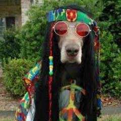 Profile Picture of Brad Reno (@AutoPilotPR_09) on Twitter