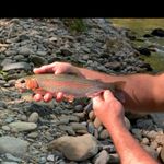 Profile Picture of Christopher Kittel (@cckittel) on Instagram