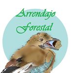 Profile Picture of Miguel Gonzalez (@arrendajo_forestal) on Instagram