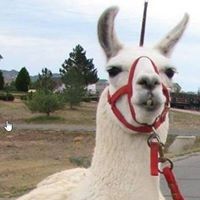 Profile Picture of Larry Nuckols (@larry-nuckols-2) on Quora