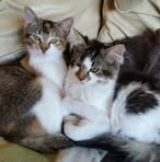 Profile Picture of Alaina Box (@alaina.box.5) on Facebook