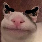 Profile Picture of Kevin‘s Freund (@darf_der_kevin_kommen.spielen) on Instagram