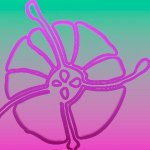 Profile Picture of jo Harriott (@joeirainbowlove) on Instagram