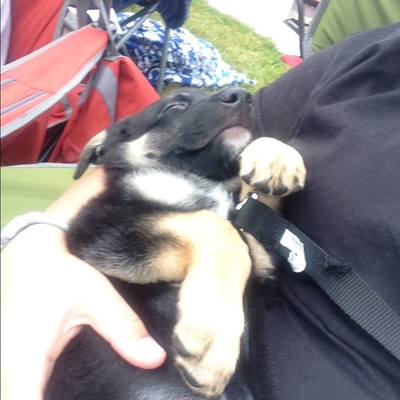 Profile Picture of Kim Kiritschenko (@skycop426) on Poshmark