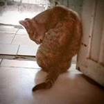 Profile Picture of rosa_harpera (@rosa_harpera) on Instagram