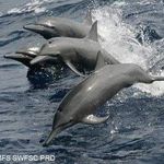 малина тодорова - Instagram Profile Picture of малина тодорова (@autos.90) on Instagram